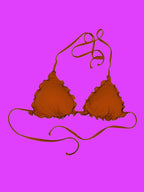 BIKINI TRIANGOLO PRILLO